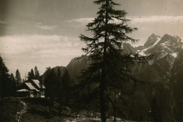 Ein Blick vom Bach auf die Erjavčeva koča