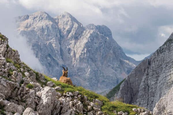 Unter den Bergen 2026 Kalender