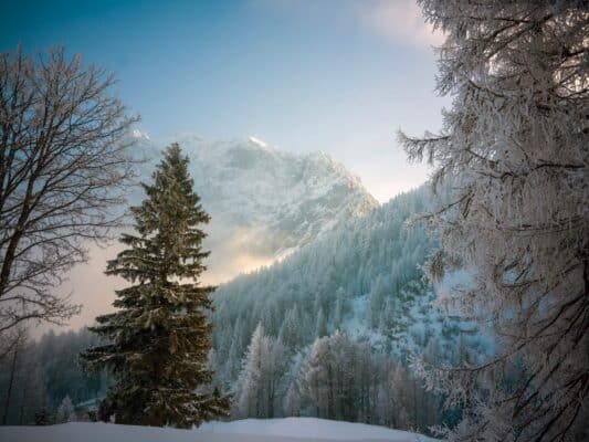 Warum sollten Sie den Vršič-Pass in Slowenien bei Kranjska Gora im Winter besuchen?